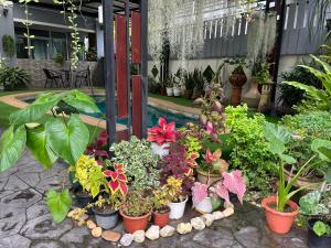 Ein Garten an der Unterkunft Chean-Chean House