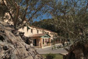 a building with a tree in front of it at Logis Hôtel Le Mas De Jossyl in La Roque-dʼAnthéron