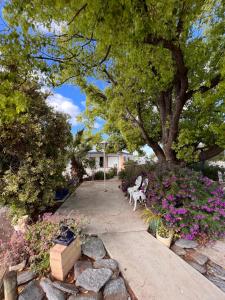 a garden with a bench and a tree and flowers at Sturt Motel Balranald in Balranald