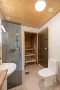 a bathroom with a toilet and a shower and a sink at Sallainen Cottages in Salla