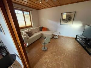 ein Wohnzimmer mit einem Sofa und einem TV in der Unterkunft Villa Monkey in Brienz
