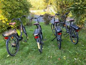 drei Fahrräder, die auf dem Rasen im Hof geparkt sind in der Unterkunft Chambre d'hôtes LA COLOMBE in Xouaxange