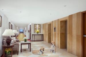 Fotografie z fotogalerie ubytování Tajview, Agra-IHCL SeleQtions v destinaci Agra