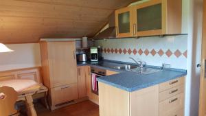 a small kitchen with a sink and a stove at Maria Schnitzenbaumer in Fischbachau