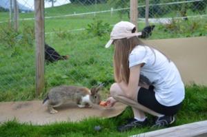 a woman squatting down feeding a small rabbit at Hof Rossruck in Fischbachau