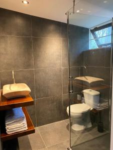 e bagno con servizi igienici e doccia in vetro. di Ecolodge Bergzicht de Specht Luxe boshuis a Barchem