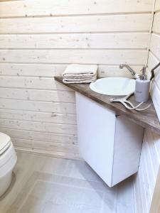 a bathroom with a sink and a toilet at Skyfire Village Igloos in Rovaniemi