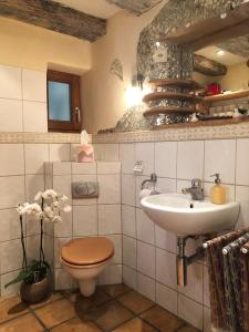 ein Bad mit einem WC und einem Waschbecken in der Unterkunft Im Sonnenbühl in Zürich