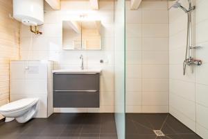 La salle de bains est pourvue de toilettes, d'un lavabo et d'une douche. dans l'établissement Ośrodek Wypoczynkowy Laguna, à Lubniewice