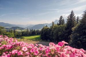 Príroda v okolí apartmánu