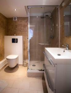 ein Bad mit einer Dusche, einem WC und einem Waschbecken in der Unterkunft Le Loft Saint Saëns in Marseille