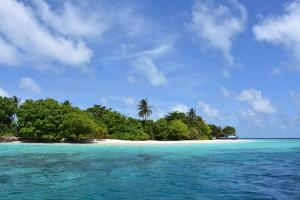 una isla en el océano con una palmera en MOONSHELL RESIDENCE en Baa Atoll