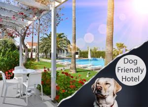 a dog friendly hotel with a dog sitting under a blanket at Mon Repos Hotel in Ayia Napa