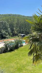un jardín con piscina en un parque en Gîte le grand chacel, en Sourcieux-les-Mines