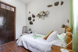 ein Schlafzimmer mit einem Bett und einer Wand mit Steinen in der Unterkunft los diablitos 1a in San Juan de la Rambla