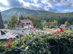 Príroda v okolí apartmánu