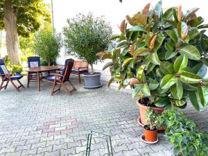 une terrasse avec des plantes, une table et des chaises dans l'établissement Ferienwohnung Lilie, à Lübbenau