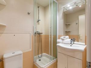 ティーニュにあるApartment Chalet Club-4 by Interhomeのバスルーム(シャワー、洗面台、トイレ付)