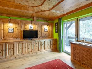 TV a/nebo společenská místnost v ubytování Apartment Zirbe Bad Gastein