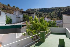 希梅拉德利瓦爾的住宿－Encantadora casa de pueblo para 7 pax con gran Terraza，从树木繁茂的建筑屋顶上欣赏美景