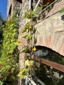 um edifício de tijolos com plantas a crescer nele em Guest House Lali em Signagi
