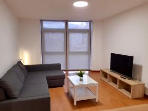 馬爾皮卡的住宿－Cómodo apartamento en la costa Gallega，带沙发和电视的客厅