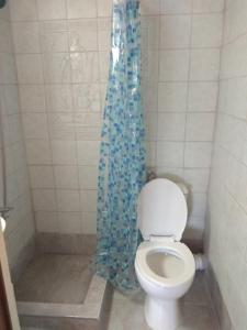 a bathroom with a toilet with a blue shower curtain at Arxontiko Studios in Limenas