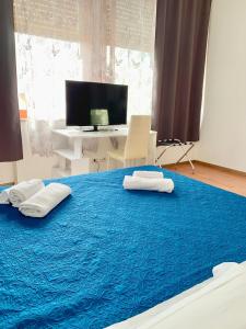 sypialnia z dwiema poduszkami na dużym niebieskim łóżku w obiekcie Oasi San Francesco w Rzymie