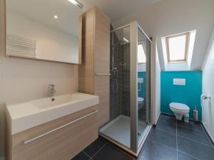 La salle de bains est pourvue d'un lavabo, d'une douche et de toilettes. dans l'établissement Apartment Skyview with parking by Interhome, à Blankenberge