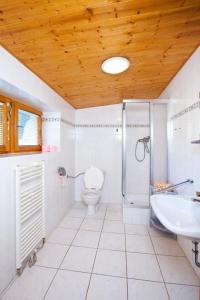 a bathroom with a toilet and a shower and a sink at Apartment Rieger 3 by Interhome in Harrachov