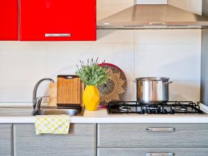 um balcão de cozinha com um fogão e uma panela sobre ele em TraMonti Apartments em Poggio Picenze