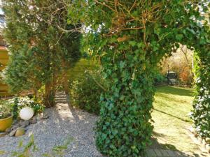 a green ivy is growing around a tree at Ferienhaus Cozy Cottage 1 in Neue Tiefe Fehmarn