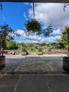 a stone walkway with potted plants and a hanging tree at Whittakers Barn Farm Bed and Breakfast in Cracoe