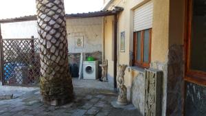 uma casa com uma palmeira e uma máquina de lavar roupa em Casa Michele em Pau