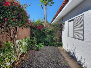 un giardino fiorito accanto a un edificio di Cozy and intimate bungalow in Puerto de la Cruz a Puerto de la Cruz