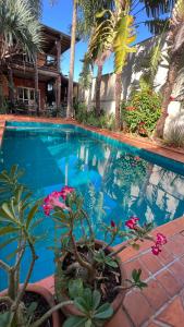 uma piscina com plantas e flores em frente a uma casa em Conforto e Lazer é na Casa Bali em Ribeirão Preto