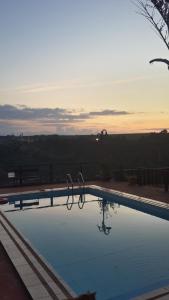 a swimming pool with two flamingos in the water at Stone Wall Cottages in Puerto Iguazú