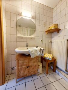 uma casa de banho com um lavatório e um espelho em Hof Böhmetal em Schneverdingen