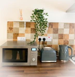 a microwave sitting on a kitchen counter with a plant at Battersea apartment in London