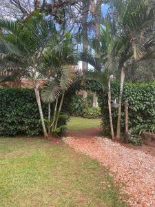 Jinja的住宿－30 Wilson，房子旁边几棵棕榈树