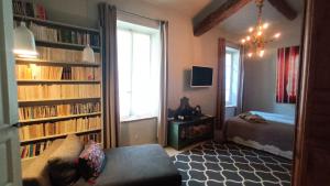 salon z kanapą i półkami z książkami w obiekcie Le Complot : Maison privée en plein coeur d'Avignon w Awinionie