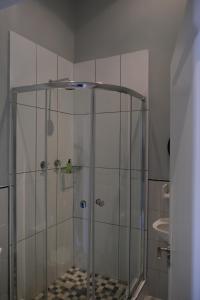 a shower with a glass enclosure in a bathroom at Daddy Long Legs Self Catering Apartments in Cape Town