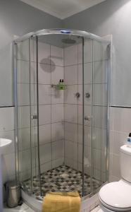 una doccia con cabina in vetro in bagno di Daddy Long Legs Self Catering Apartments a Città del Capo