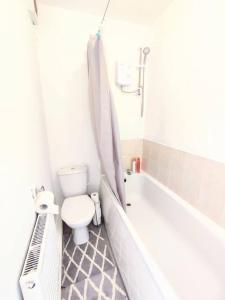 a bathroom with a toilet and a tub and a sink at Northern Breeze Apartment in Cambois