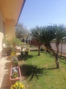 a garden with potted plants and palm trees at Apartman Stella in Bosanska Gradiška