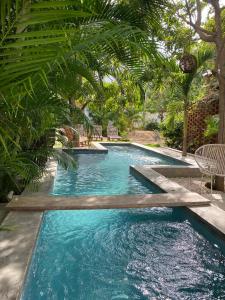 a swimming pool in a yard with chairs and trees at Soiree in Zipolite