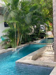 uma piscina com palmeiras num resort em Soiree em Zipolite