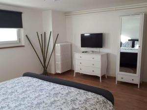 Μια τηλεόραση ή/και κέντρο ψυχαγωγίας στο Appartement lumineux et spacieux à Charmey - Coin de paradis
