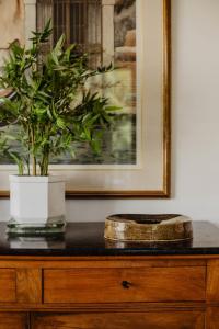 uma cómoda de madeira com um vaso de plantas em cima em La Villa Normande - Trois Pièces - Deauville Centre em Deauville