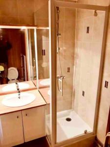a bathroom with a shower and a sink at studio cabine Font Romeu in Font Romeu Odeillo Via
